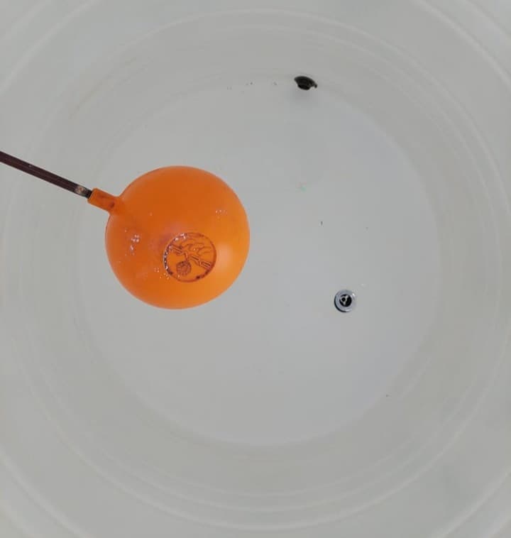 صورة بعد التنظيف